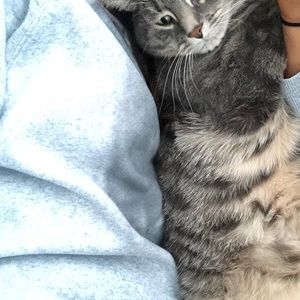 Meet your Posher, Jamie